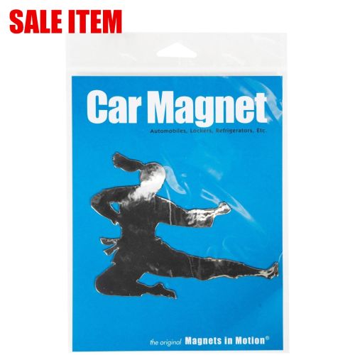Martial Arts Magnet
