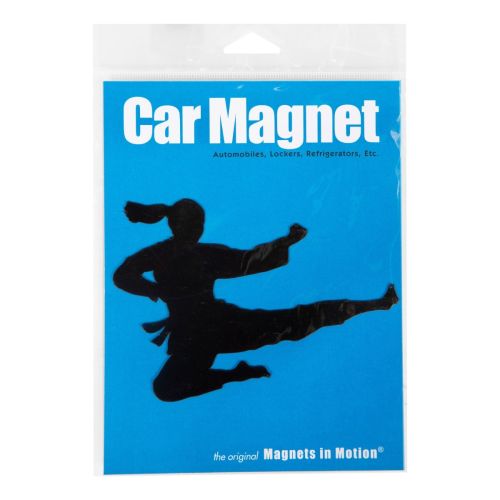 Martial Arts Magnet