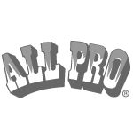 All Pro 1 desktop