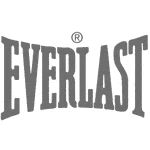 Everlast 1 desktop